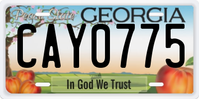GA license plate CAY0775