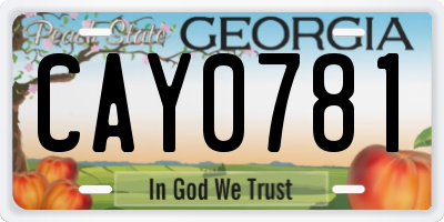GA license plate CAY0781
