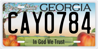 GA license plate CAY0784