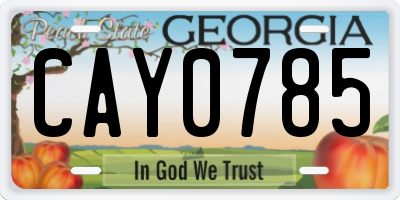 GA license plate CAY0785