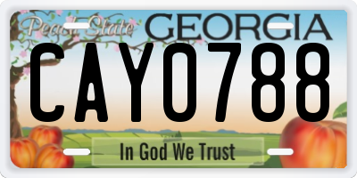 GA license plate CAY0788