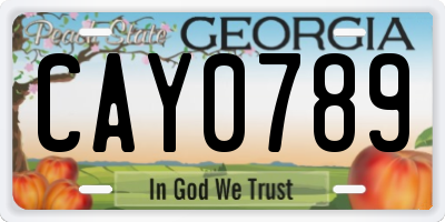 GA license plate CAY0789