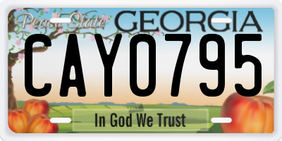GA license plate CAY0795