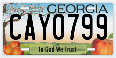 GA license plate CAY0799