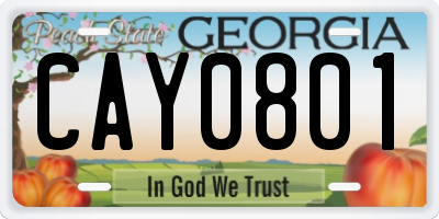 GA license plate CAY0801