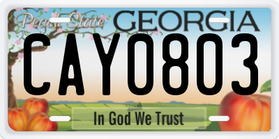 GA license plate CAY0803