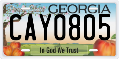 GA license plate CAY0805