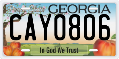 GA license plate CAY0806