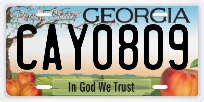 GA license plate CAY0809