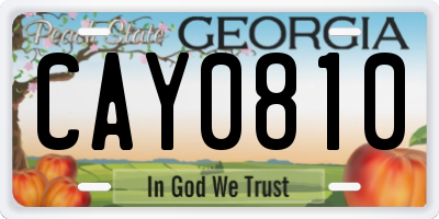 GA license plate CAY0810