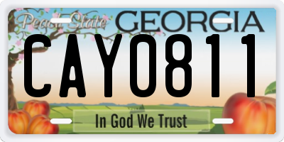 GA license plate CAY0811