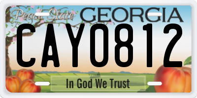 GA license plate CAY0812