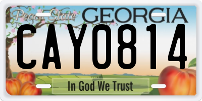 GA license plate CAY0814