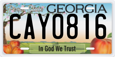 GA license plate CAY0816