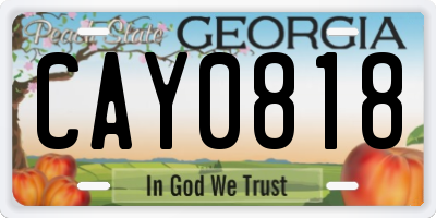 GA license plate CAY0818
