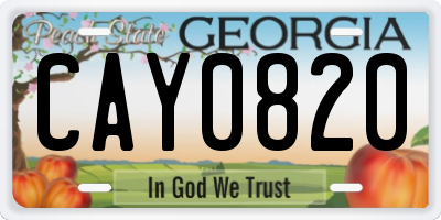 GA license plate CAY0820