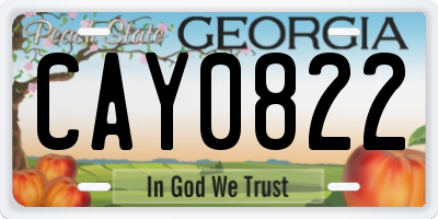 GA license plate CAY0822