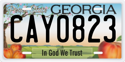 GA license plate CAY0823
