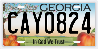 GA license plate CAY0824