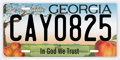 GA license plate CAY0825