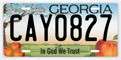 GA license plate CAY0827