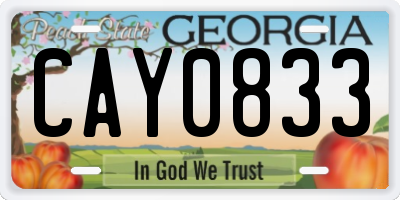 GA license plate CAY0833