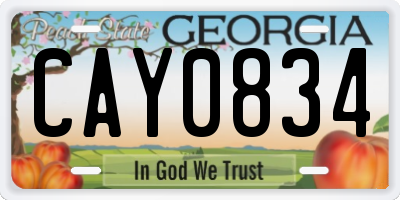 GA license plate CAY0834