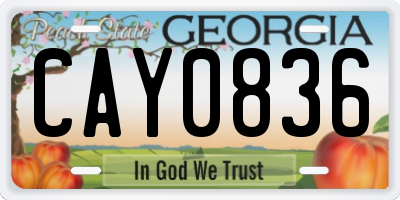 GA license plate CAY0836