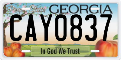GA license plate CAY0837