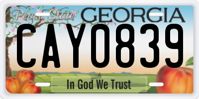 GA license plate CAY0839