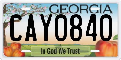 GA license plate CAY0840