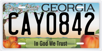 GA license plate CAY0842