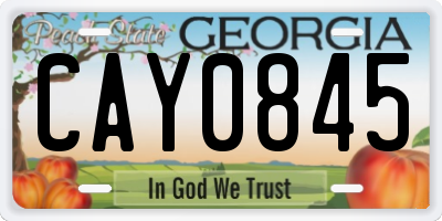 GA license plate CAY0845