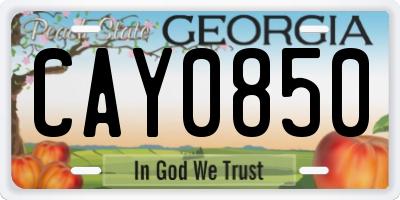 GA license plate CAY0850