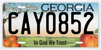 GA license plate CAY0852