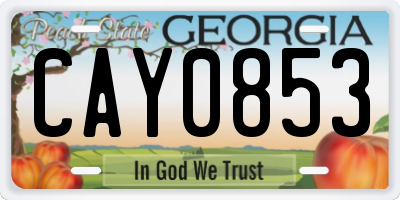 GA license plate CAY0853