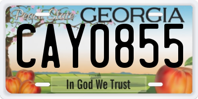 GA license plate CAY0855