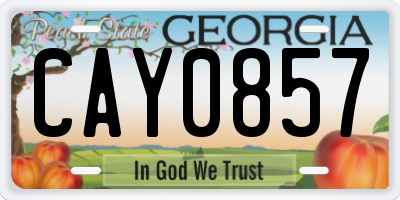 GA license plate CAY0857