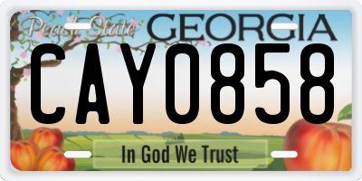 GA license plate CAY0858