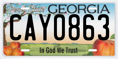 GA license plate CAY0863
