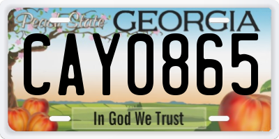 GA license plate CAY0865