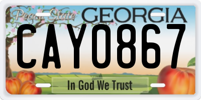 GA license plate CAY0867