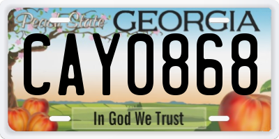 GA license plate CAY0868