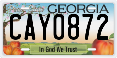 GA license plate CAY0872