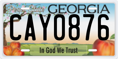 GA license plate CAY0876