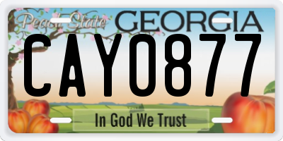 GA license plate CAY0877