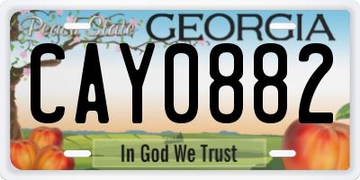 GA license plate CAY0882