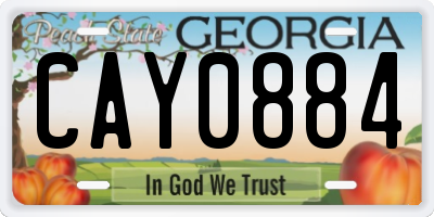 GA license plate CAY0884