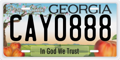 GA license plate CAY0888