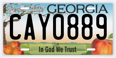 GA license plate CAY0889
